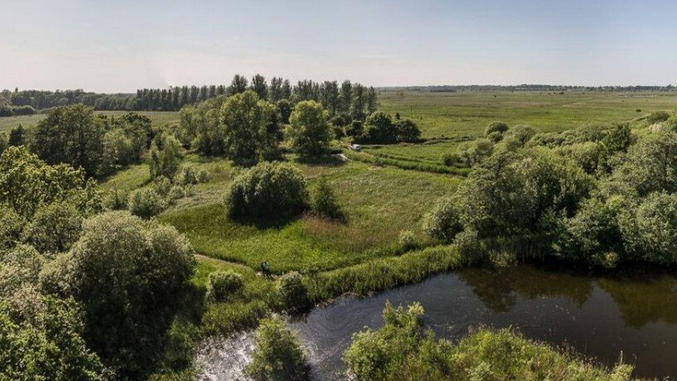 Suffolk Broads