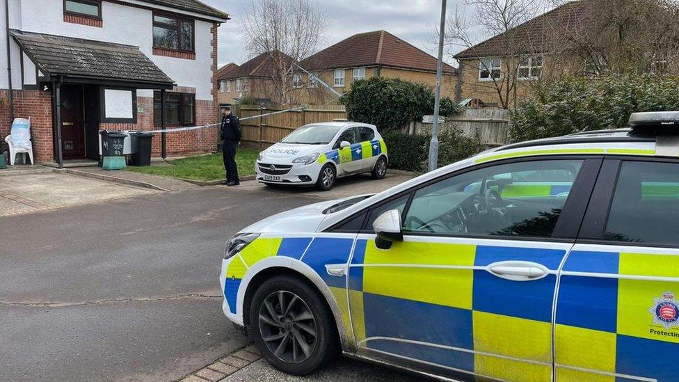 Scene on Tennyson Road, Chelmsford where Ms Wadsworth's body was found