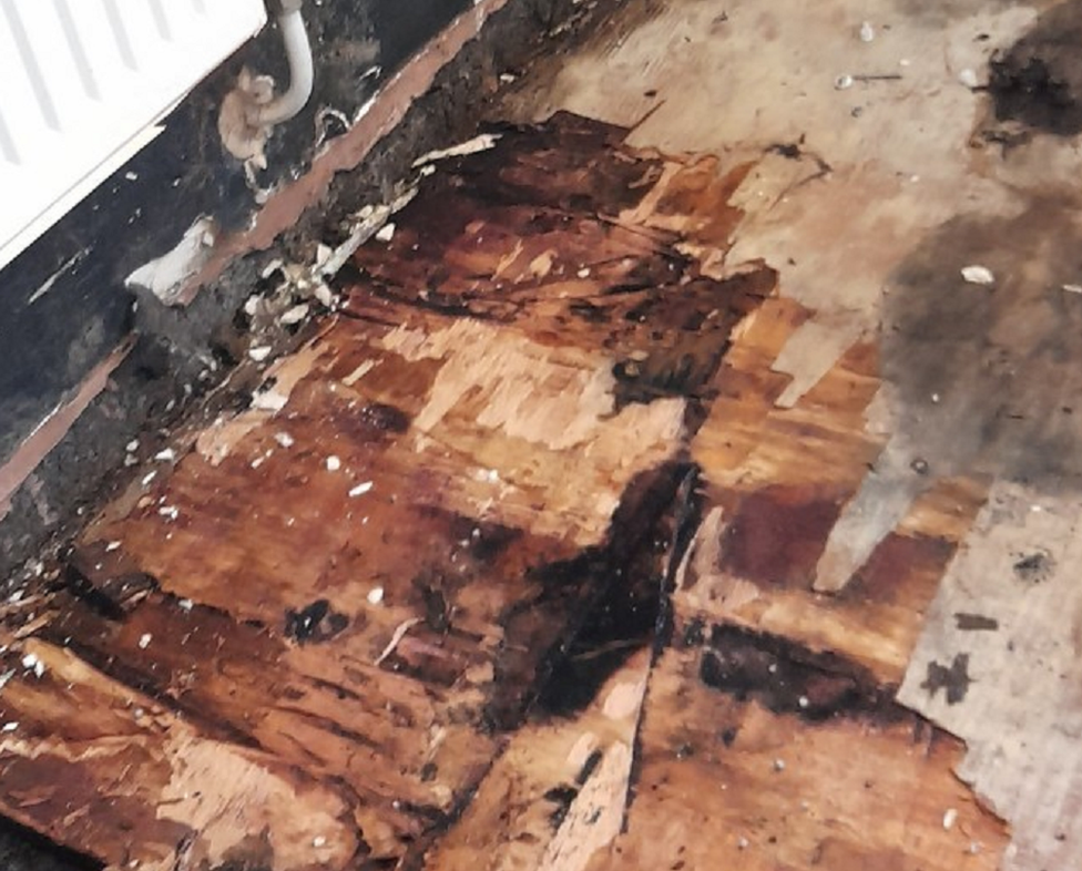 Rotten floor boards