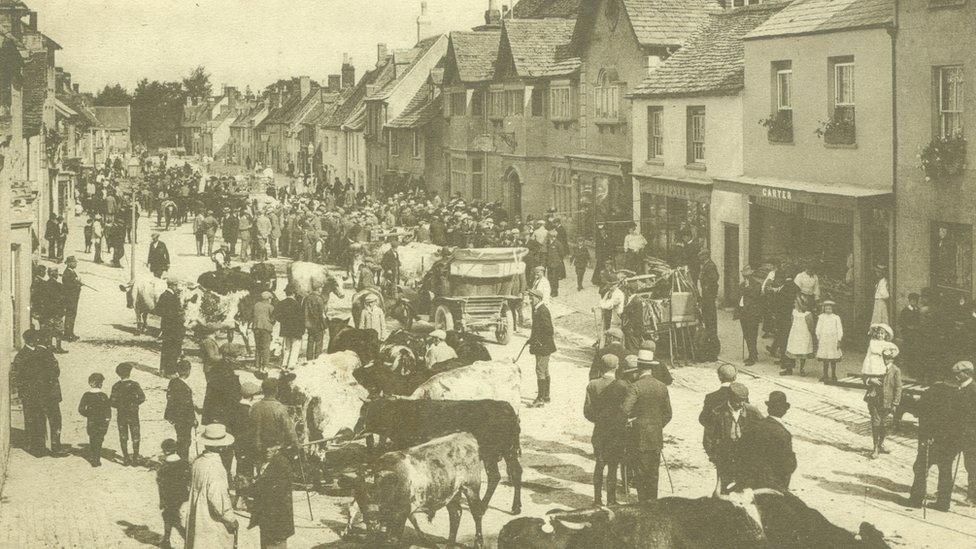 A historical photo of a crowded cattle market on Cricklade High Street