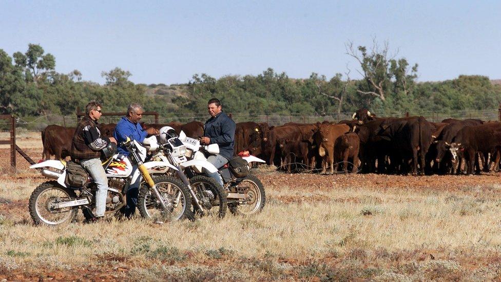 Workers from the Anna Creek cattle station take a break on the Oodnadatta Track in outback South Australia