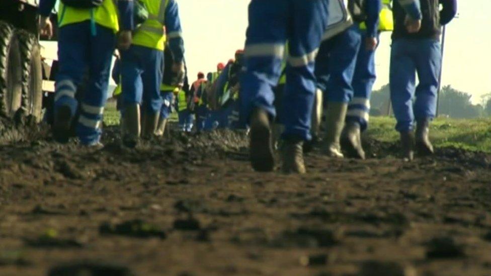 Migrants working on a farm