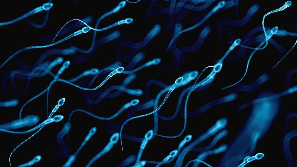 A graphic of sperm