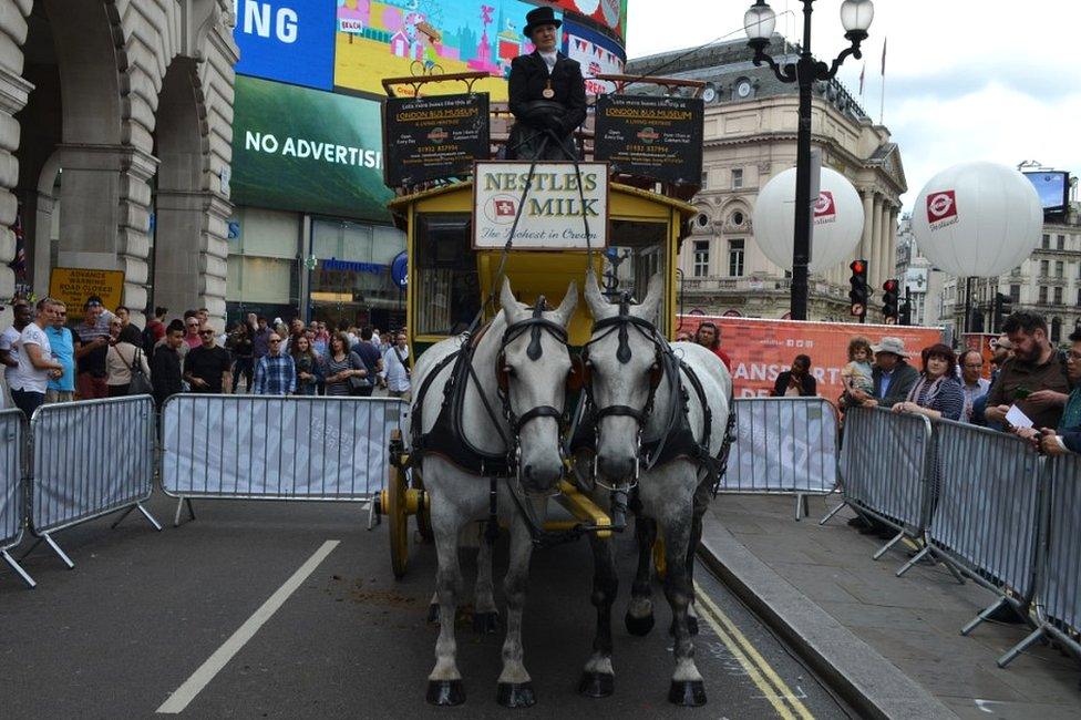 Female driver on horse drawn bus