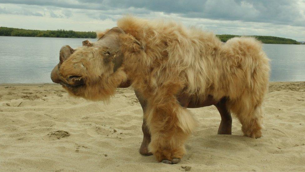 woolly-rhino.