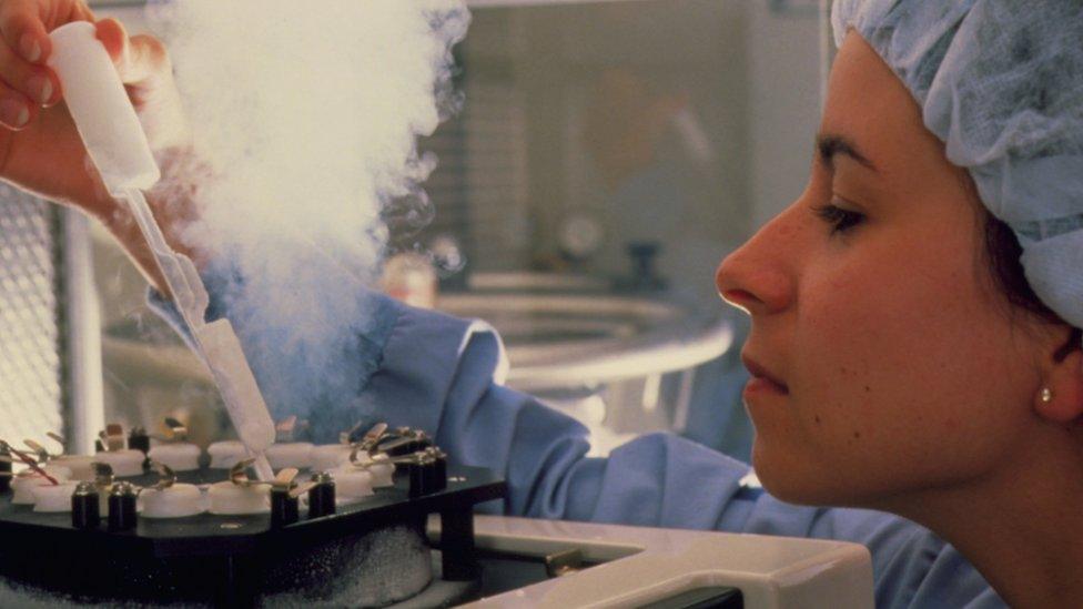 Frozen embryos being removed from storage