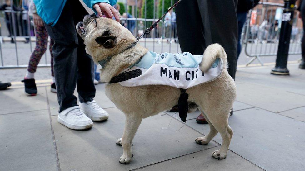 A dog with a Manchester City coat during the Premier League trophy parade in Manchester