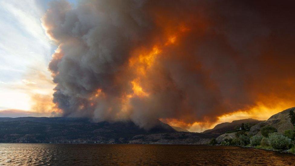 McDougall Creek on fire in West Kelowna