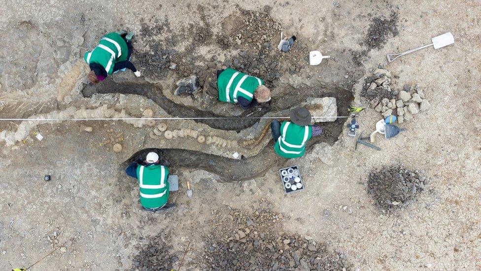 Workers excavating the sea dragon