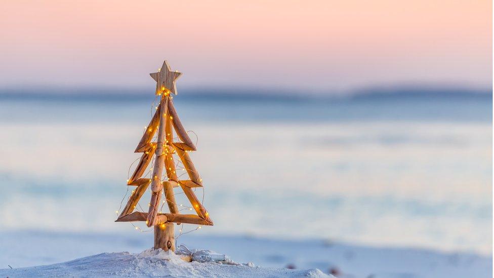 Driftwood Christmas tree