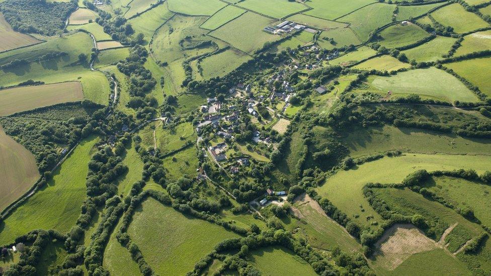 Hedgerows in Devon