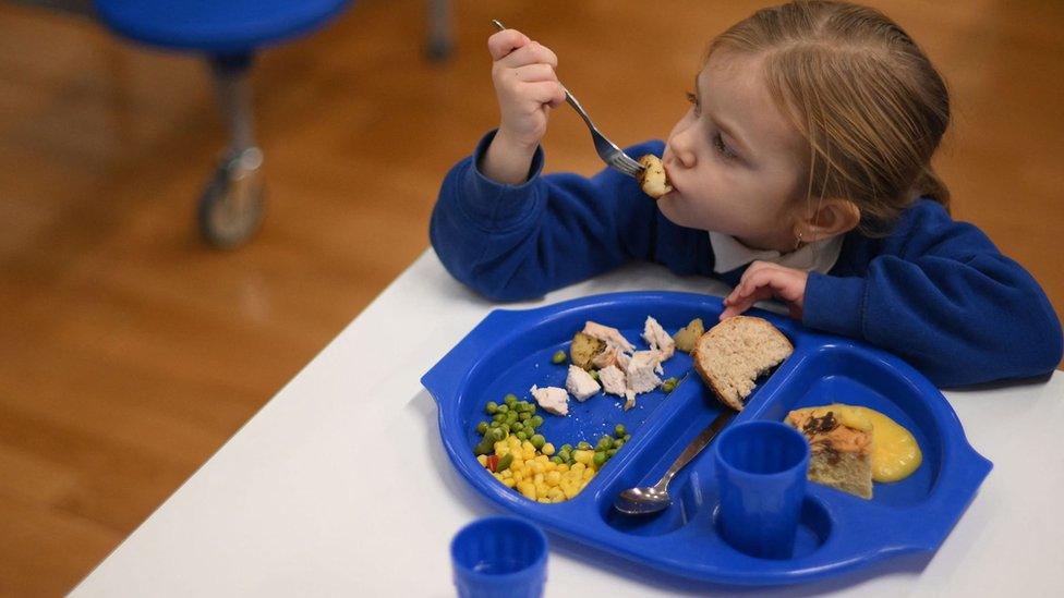 Primary pupil school meal