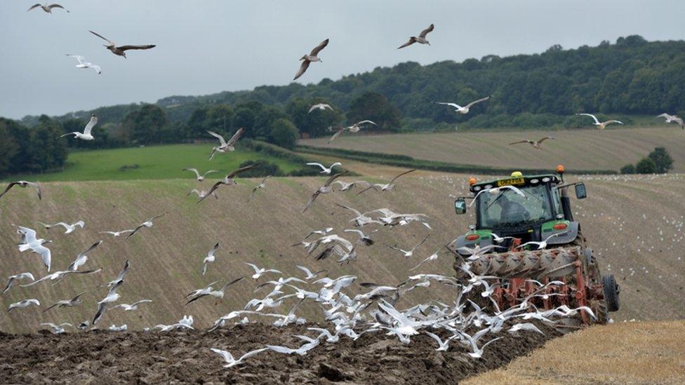 A tractor on farmland