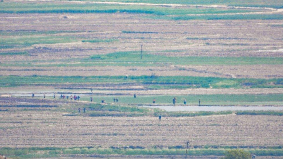 Farmers in field