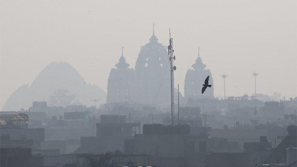 A bird flies on a smog filled morning in New Delhi, India, Wednesday, Nov.11, 2015.