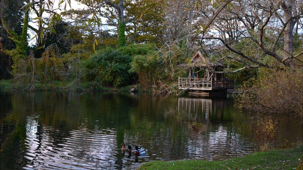 Saumarez Park pond and hut