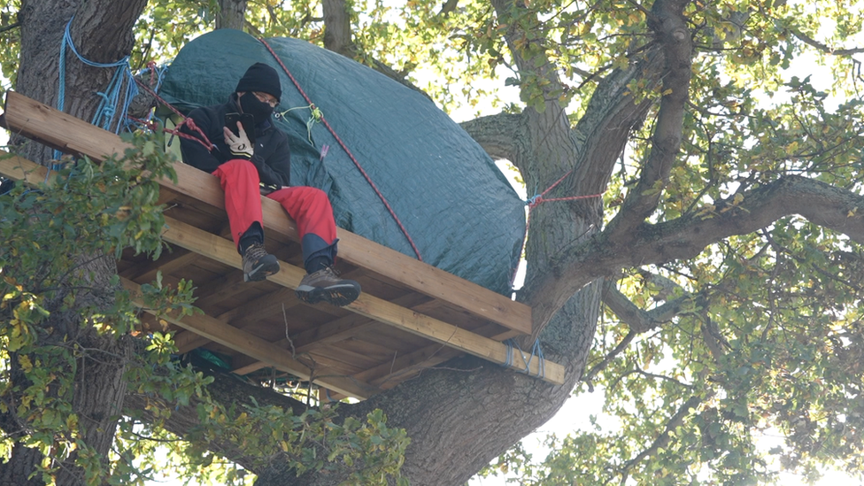 A protester occupying an oak tree in Rochford