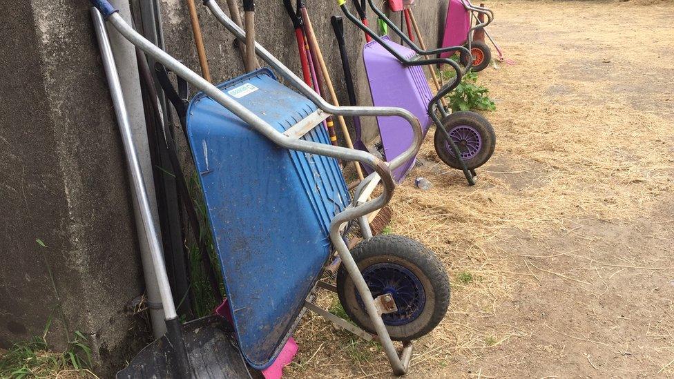 Wheelbarrows and brushes in a farmyard