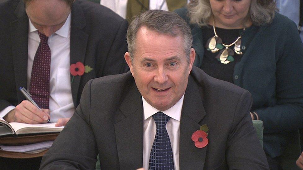 Liam Fox addressing MPs