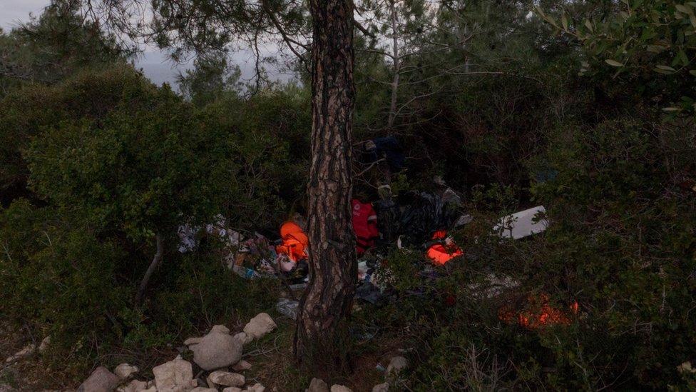 Life vests litter the trees near the beach