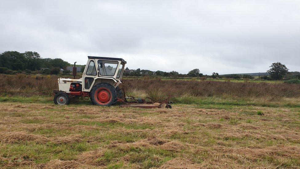 Cae angladd naturiol Caerdydd