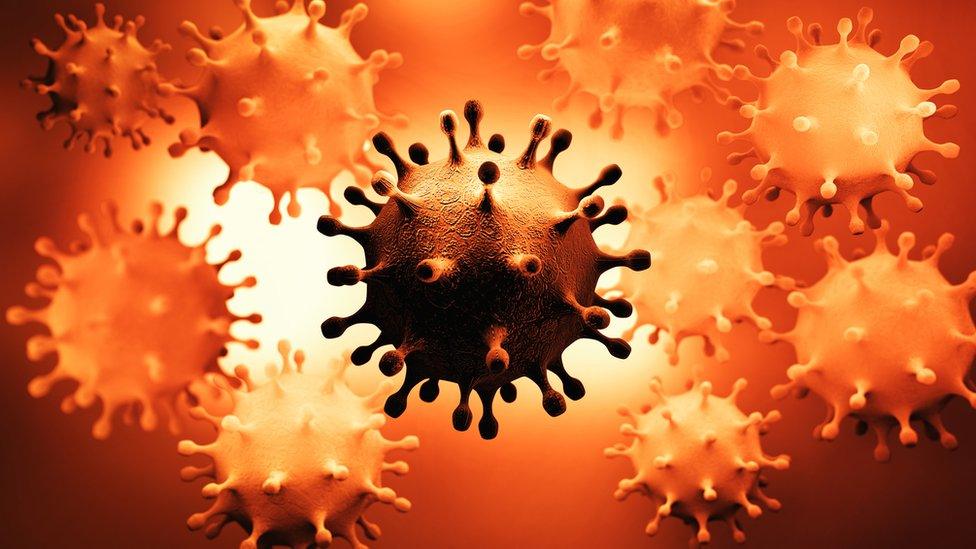 coronavirus