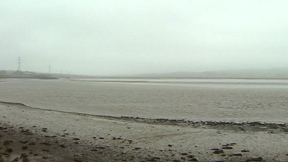 Estuary
