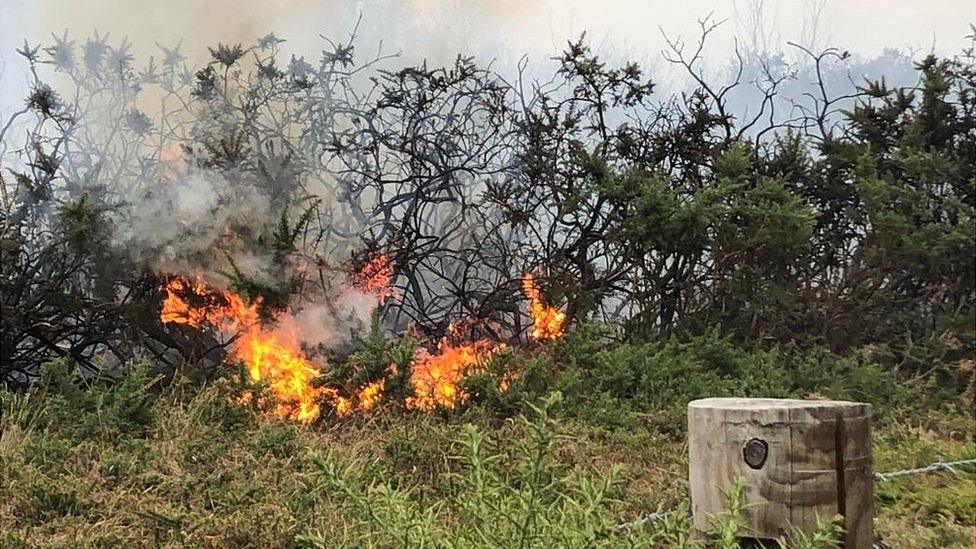 Fire at Salthouse Heath nature reserve
