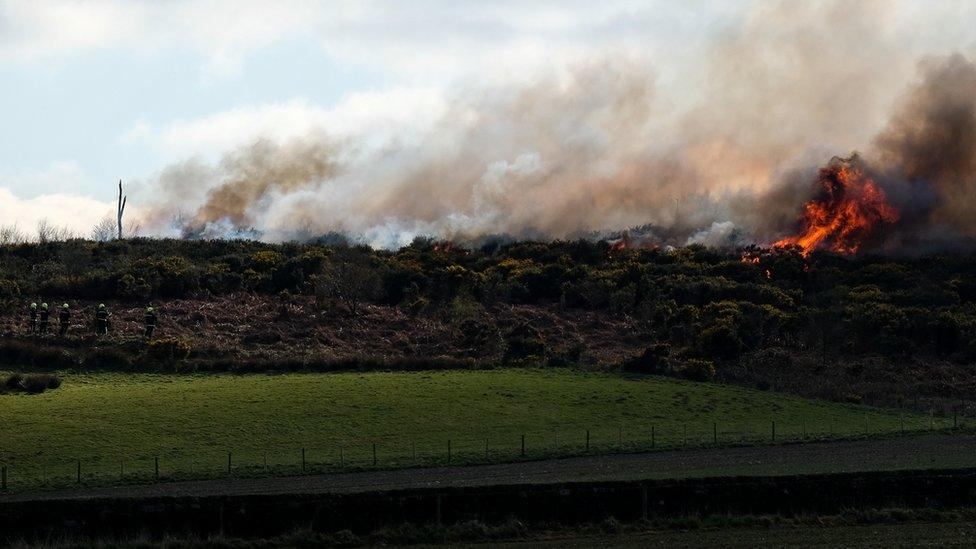 Firefighters approach burning gorse