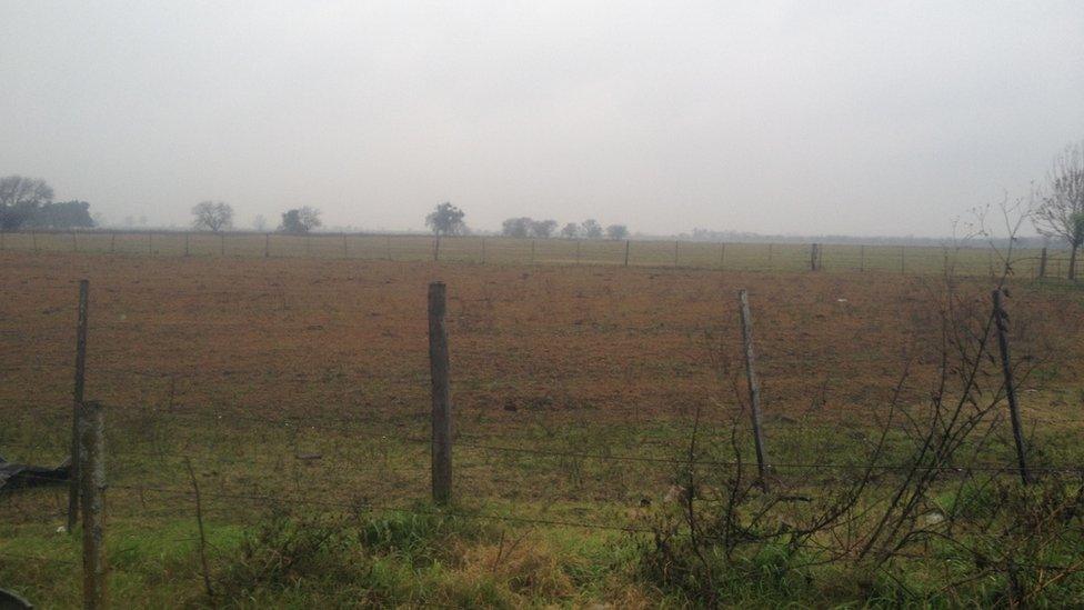 A field ready for planting