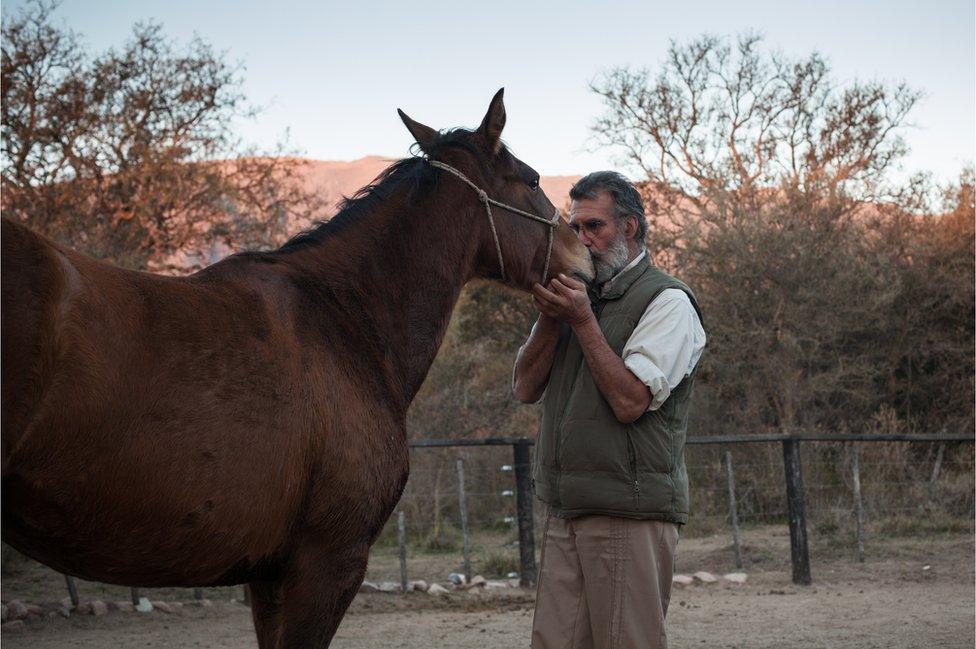 Oscar in the farmyard with a wild horse