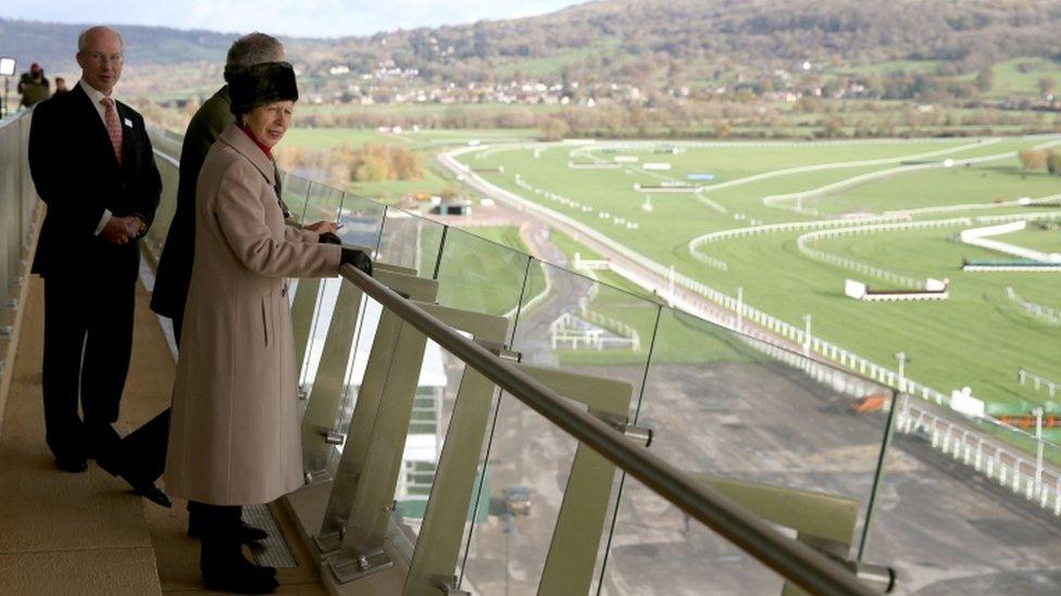 Princess Anne at Cheltenham racecourse