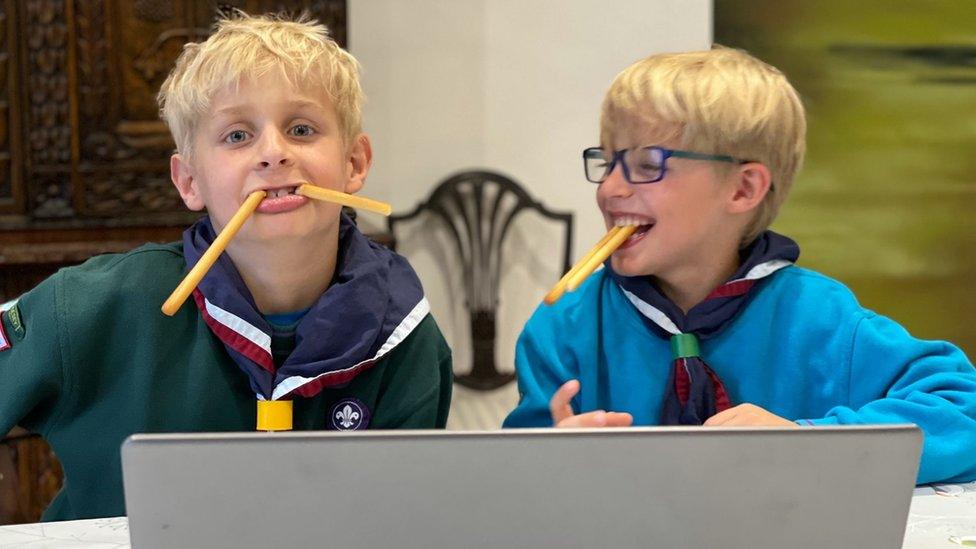 Cub scouts have been helping to test the counting portal