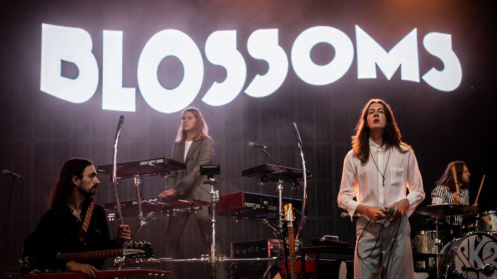 Blossoms at Camp Bestival