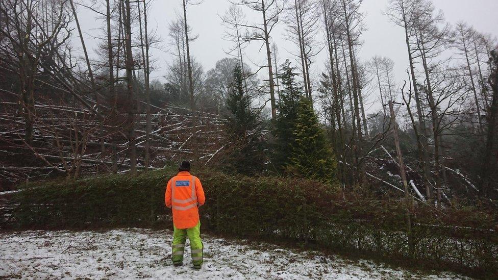 An engineer looks at damage to power lines