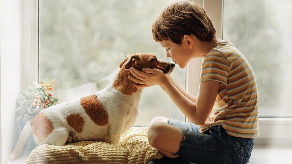 dog-and-child-stuck-inside