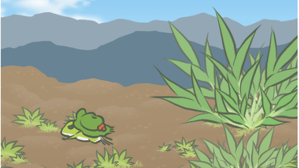 The frog travels in a desert