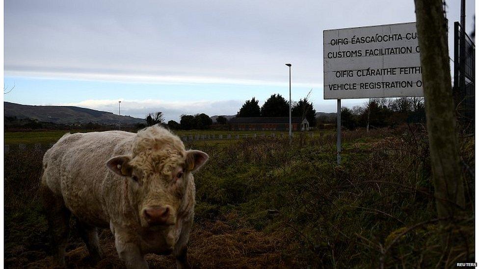 Bull in a field near the border between Northern Ireland and the Republic of Ireland