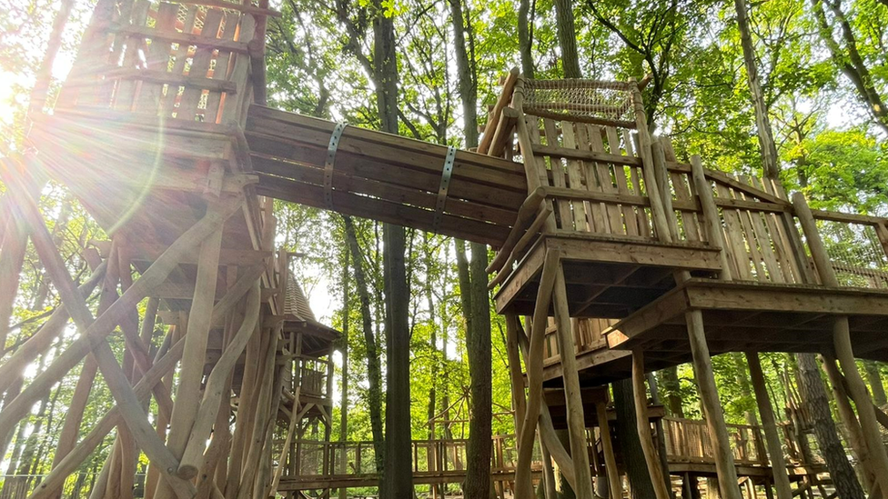 Woodland play area