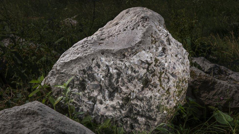 a large grey boulder