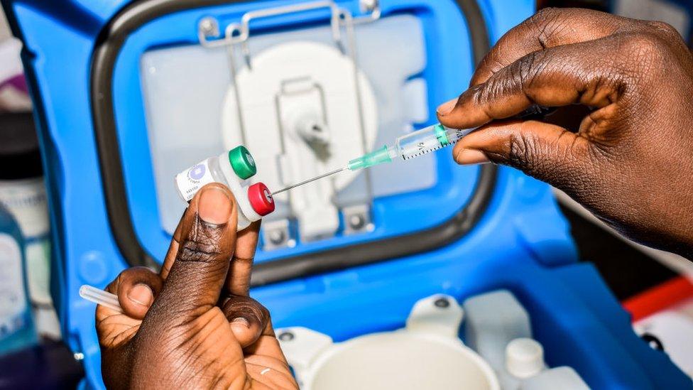 a health worker extracts a mosquito vaccine from a vial