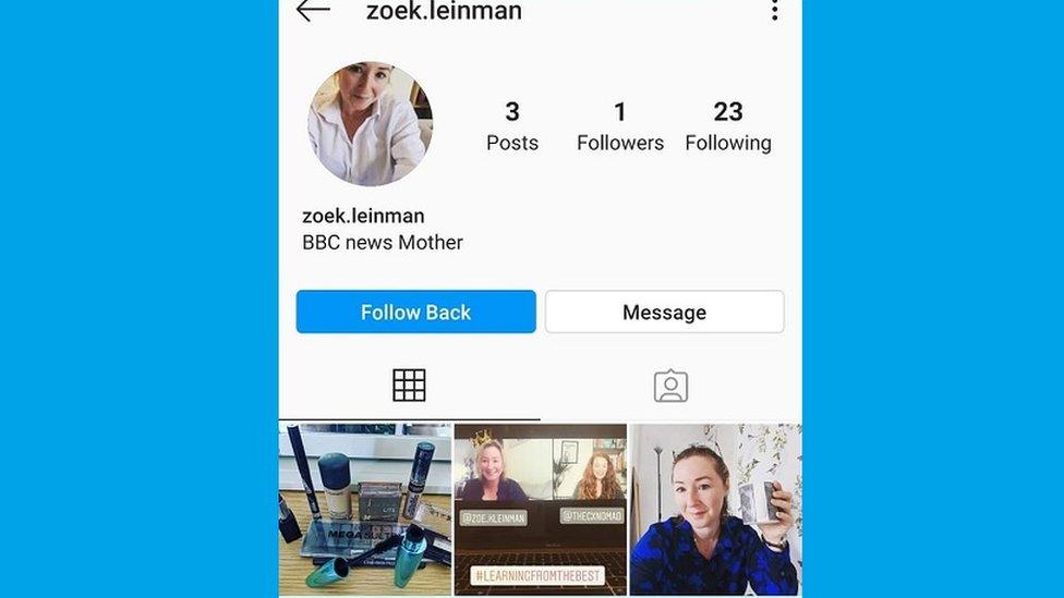 Fake instagram account