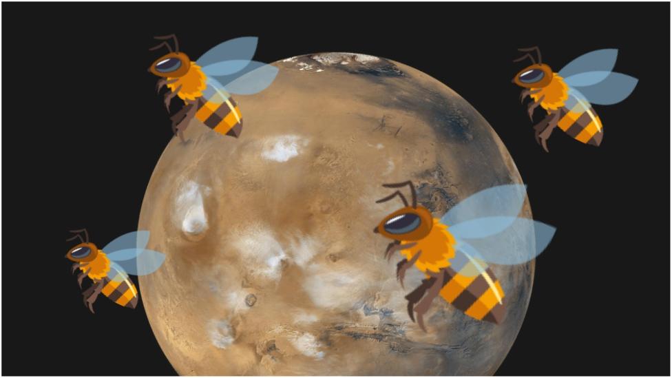 Marsbees