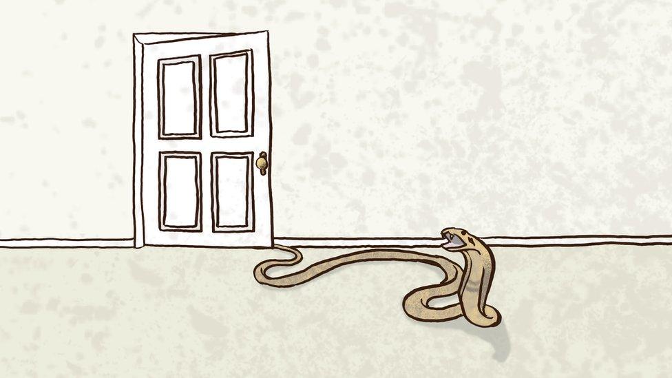 Illustration of a snake creeping out from round a door