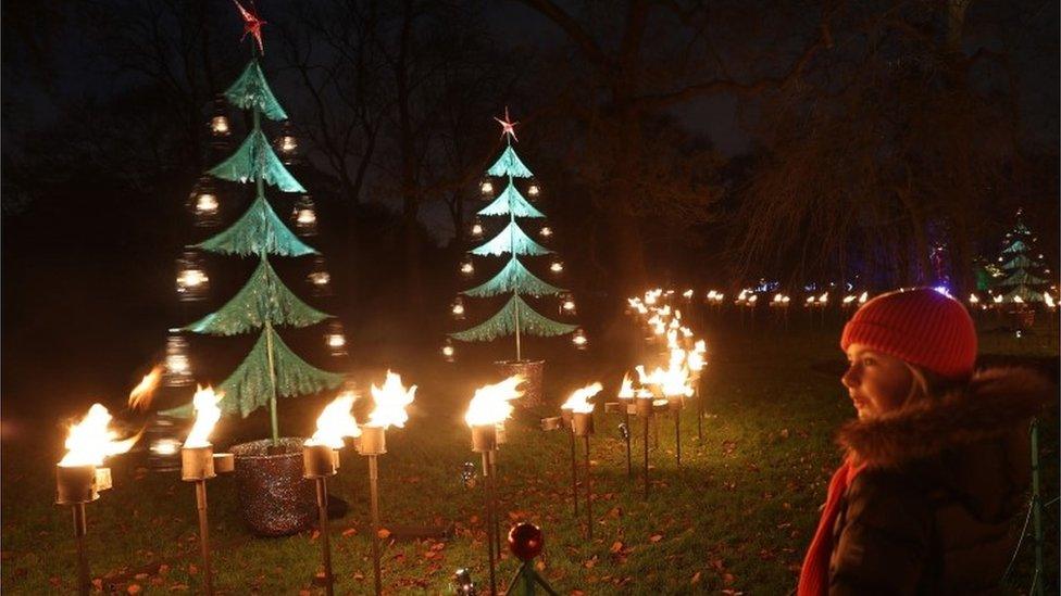 A young girl looks at the "Fire Garden", during a preview for Christmas at Kew Gardens, London.