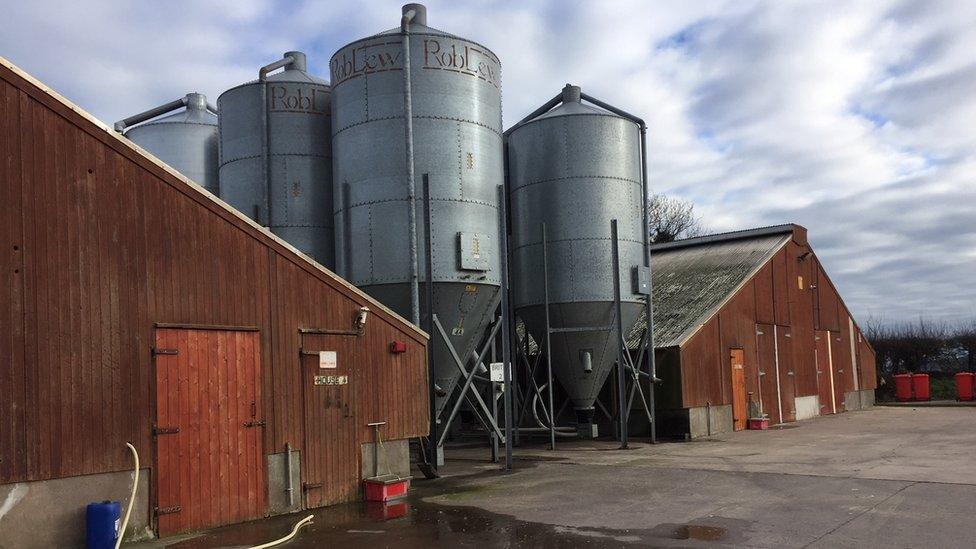 Mr Watt has seven poultry houses on his Co Tyrone farm