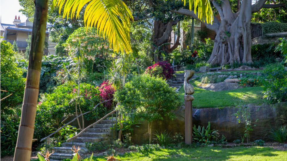 A garden with colourful trees and plants and some steps leading up a hill