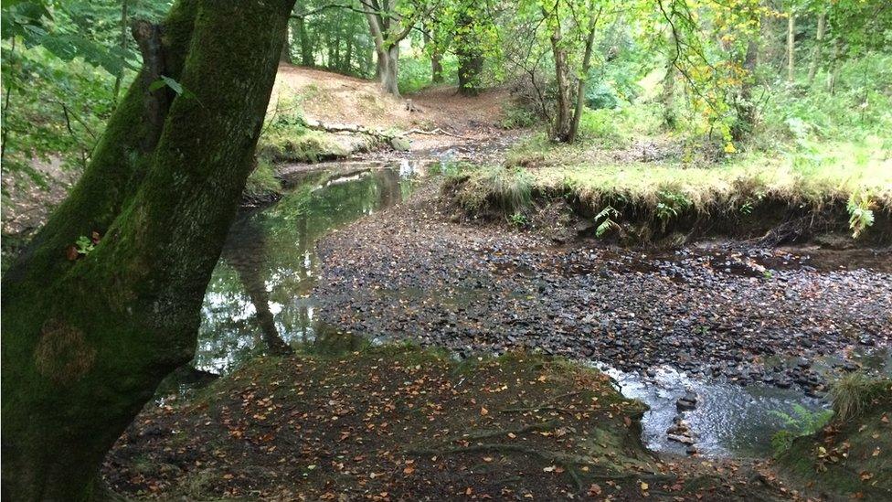 Water ranger route in Stanley