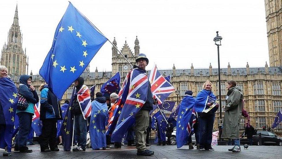 Anti-Brexit protesters