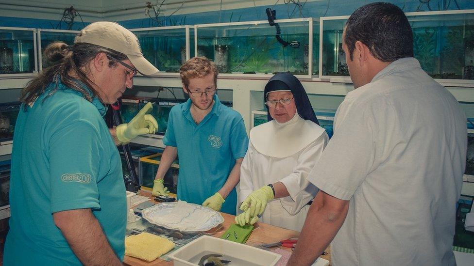 Chester Zoo conservationists Gerardo Garcia and Adam Bland work with nuns at a Mexican monastery to help save a rare species of salamander from extinction